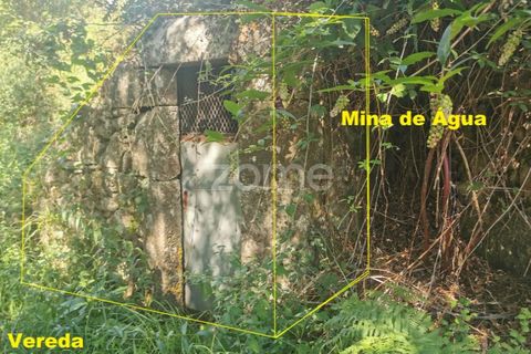 Helårsgrund i Sandim, Porto, Sandim - € 65.000 | Ref: ZMPT552708 - foto 34