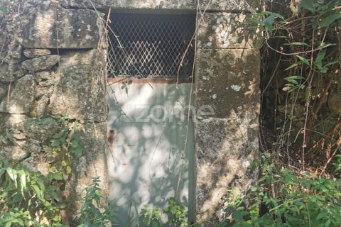 Helårsgrund i Sandim, Porto, Sandim - € 65.000 | Ref: ZMPT552708 - foto 35