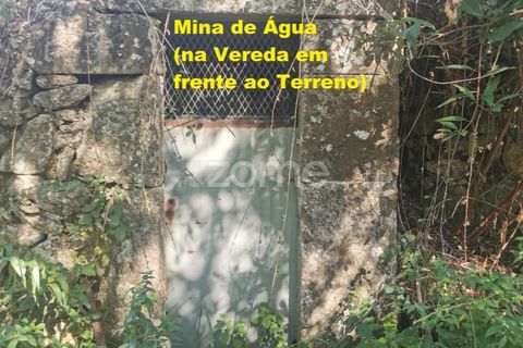 Helårsgrund i Sandim, Porto, Sandim - € 65.000 | Ref: ZMPT552708 - foto 36