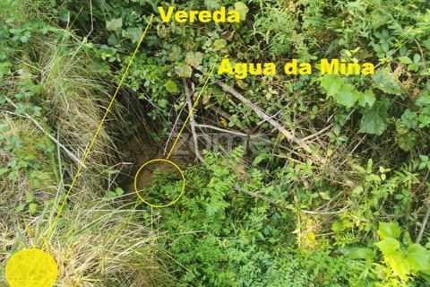 Helårsgrund i Sandim, Porto, Sandim - € 65.000 | Ref: ZMPT552708 - foto 37