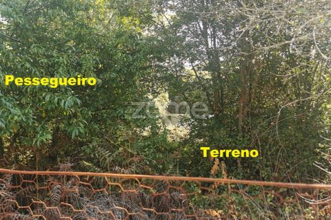 Helårsgrund i Sandim, Porto, Sandim - € 65.000 | Ref: ZMPT552708 - foto 42