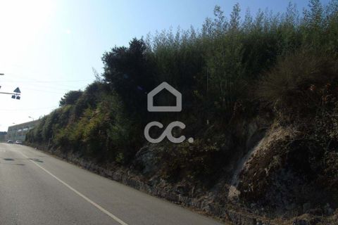 Helårsgrund i Guimaraes, Braga, Guimaraes - € 30.000 | Ref: 356/T/00767 - foto 2