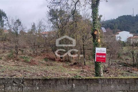 Terra a Oliveira, Braga, Oliveira - € 270.000 | Ref: 336/T/00871 - foto 2