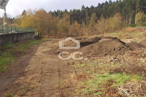 Terra a Oliveira, Braga, Oliveira - € 270.000 | Ref: 336/T/00871 - foto 3