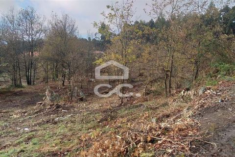 Terra a Oliveira, Braga, Oliveira - € 270.000 | Ref: 336/T/00871 - foto 5