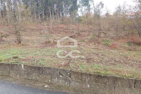 Terra a Oliveira, Braga, Oliveira - € 270.000 | Ref: 336/T/00871 - foto 6
