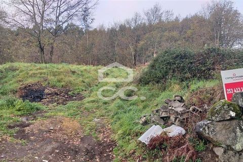 Terra a Oliveira, Braga, Oliveira - € 270.000 | Ref: 336/T/00871 - foto 7