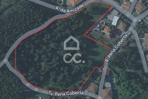 Terra a Oliveira, Braga, Oliveira - € 270.000 | Ref: 336/T/00871 - foto 8