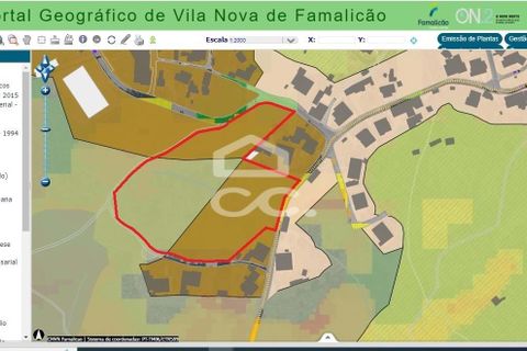 Terra a Oliveira, Braga, Oliveira - € 270.000 | Ref: 336/T/00871 - foto 9