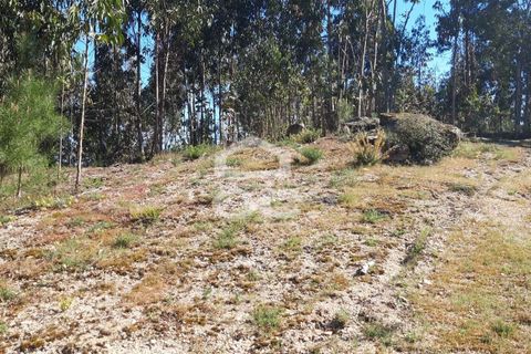 Helårsgrund i Valongo, Porto, Valongo - € 64.500 | Ref: 336/T/00979 - foto 2
