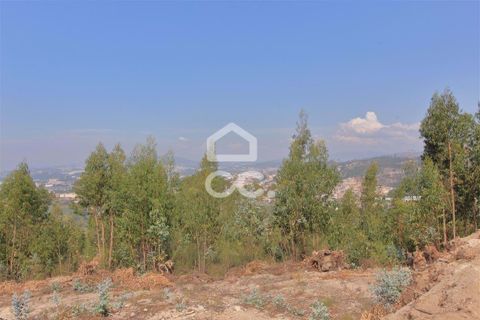 Helårsgrund i Valongo, Porto, Valongo - € 64.500 | Ref: 336/T/00979 - foto 5