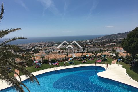 Erhvervsejendom i Nerja, Malaga, Nerja - € 549.000 | Ref: NPSV1514 - foto 5
