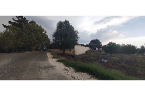 Helårsgrund i Gondemaria e Olival, Santarem, Gondemaria e Olival - € 27.000 | Ref: TER_154 - foto 2