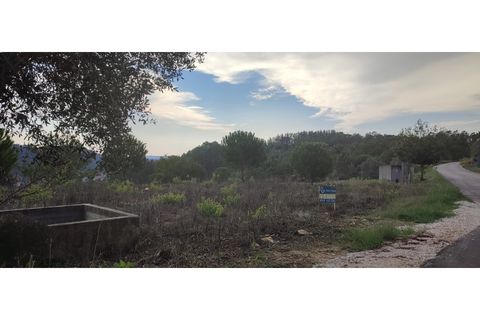 Helårsgrund i Gondemaria e Olival, Santarem, Gondemaria e Olival - € 27.000 | Ref: TER_154 - foto 3