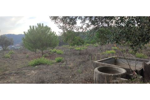 Helårsgrund i Gondemaria e Olival, Santarem, Gondemaria e Olival - € 27.000 | Ref: TER_154 - foto 5