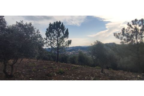 Helårsgrund i Gondemaria e Olival, Santarem, Gondemaria e Olival - € 27.000 | Ref: TER_154 - foto 6
