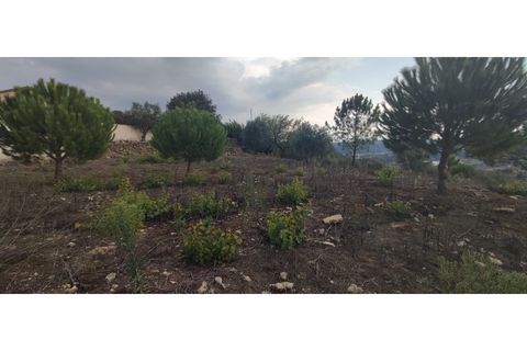 Helårsgrund i Gondemaria e Olival, Santarem, Gondemaria e Olival - € 27.000 | Ref: TER_154 - foto 7