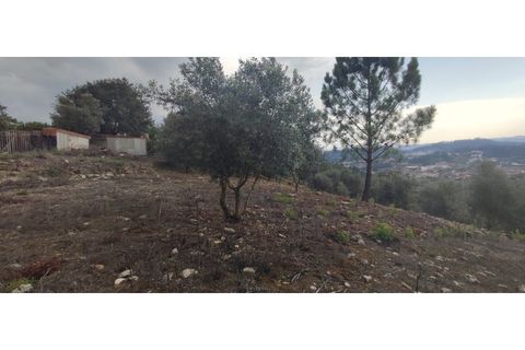 Helårsgrund i Gondemaria e Olival, Santarem, Gondemaria e Olival - € 27.000 | Ref: TER_154 - foto 8