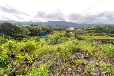 Helårsgrund i Sao Roque do Pico, Pico, Sao Roque do Pico - € 90.000 | Ref: AZO1-0087 - foto 9