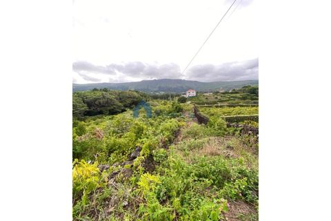 Helårsgrund i Sao Roque do Pico, Pico, Sao Roque do Pico - € 90.000 | Ref: AZO1-0087 - foto 10