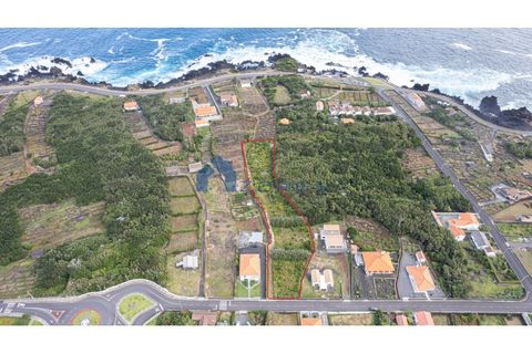Helårsgrund i Sao Roque do Pico, Pico, Sao Roque do Pico - € 90.000 | Ref: AZO1-0087 - foto 2