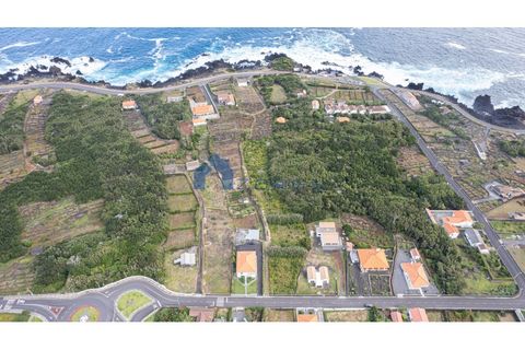 Helårsgrund i Sao Roque do Pico, Pico, Sao Roque do Pico - € 90.000 | Ref: AZO1-0087 - foto 4