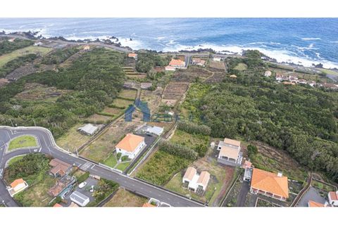 Helårsgrund i Sao Roque do Pico, Pico, Sao Roque do Pico - € 90.000 | Ref: AZO1-0087 - foto 6