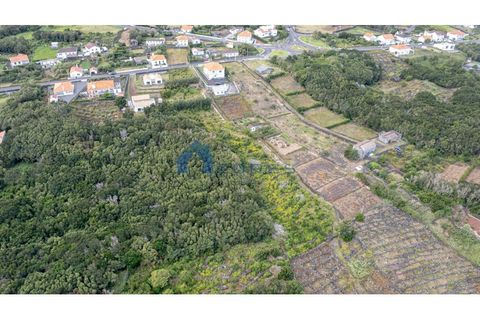 Helårsgrund i Sao Roque do Pico, Pico, Sao Roque do Pico - € 90.000 | Ref: AZO1-0087 - foto 7