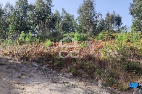 Helårsgrund i Lousada, Porto, Lousada - € 460.000 | Ref: 365/T/02459 - foto 7