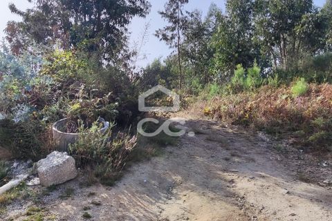 Helårsgrund i Lousada, Porto, Lousada - € 460.000 | Ref: 365/T/02459 - foto 8
