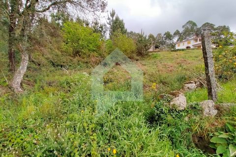 Helårsgrund i Barcelos, Braga, Barcelos - € 215.000 | Ref: SÒL_2530 - foto 2