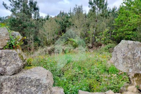 Helårsgrund i Barcelos, Braga, Barcelos - € 215.000 | Ref: SÒL_2530 - foto 3