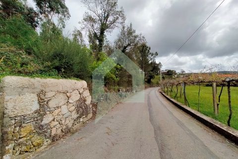 Helårsgrund i Barcelos, Braga, Barcelos - € 215.000 | Ref: SÒL_2530 - foto 6