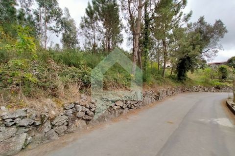 Helårsgrund i Barcelos, Braga, Barcelos - € 215.000 | Ref: SÒL_2530 - foto 7