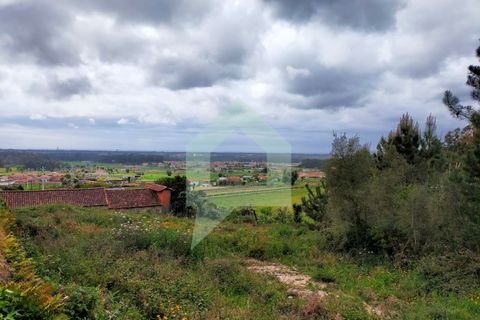 Helårsgrund i Barcelos, Braga, Barcelos - € 215.000 | Ref: SÒL_2530 - foto 10