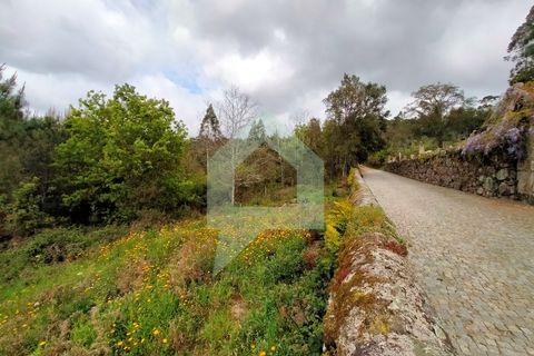 Helårsgrund i Barcelos, Braga, Barcelos - € 215.000 | Ref: SÒL_2530 - foto 11