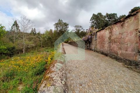 Helårsgrund i Barcelos, Braga, Barcelos - € 215.000 | Ref: SÒL_2530 - foto 12