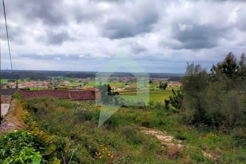 Helårsgrund i Barcelos, Braga, Barcelos - € 215.000 | Ref: SÒL_2530 - foto 14