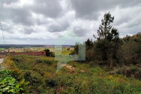 Helårsgrund i Barcelos, Braga, Barcelos - € 215.000 | Ref: SÒL_2530 - foto 16