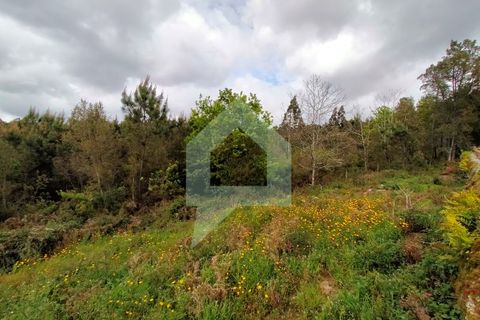 Helårsgrund i Barcelos, Braga, Barcelos - € 215.000 | Ref: SÒL_2530 - foto 17