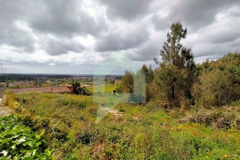 Helårsgrund i Barcelos, Braga, Barcelos - € 215.000 | Ref: SÒL_2530 - foto 22