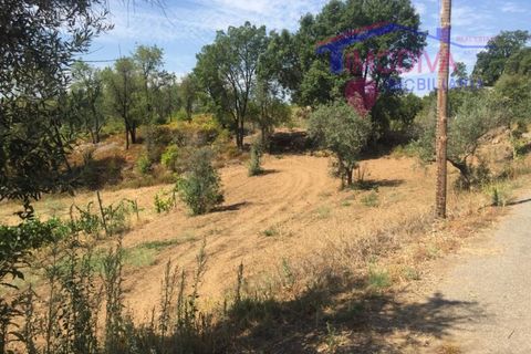 Villa i Serta, Castelo Branco, Serta - € 18.690 | Ref: HV177/1022 - foto 14