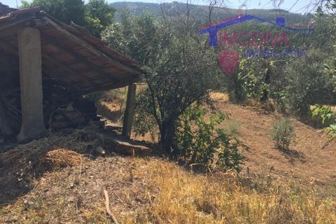 Villa i Serta, Castelo Branco, Serta - € 18.690 | Ref: HV177/1022 - foto 13