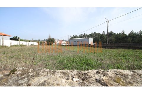Tomt i Vila do Conde, Porto, Vila do Conde - € 120 000 | Ref: 4295 - foto 2