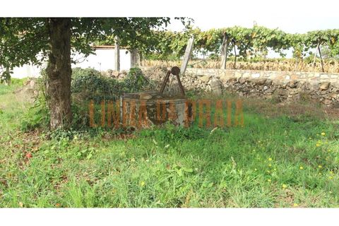 Tomt i Vila do Conde, Porto, Vila do Conde - € 120 000 | Ref: 4295 - foto 8