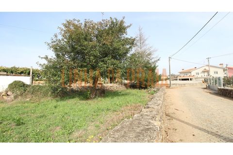 Tomt i Vila do Conde, Porto, Vila do Conde - € 120 000 | Ref: 4295 - foto 9