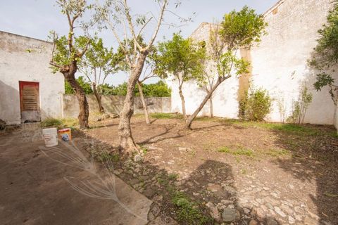 Cortijo i Alter do Chao, Portalegre, Alter do Chao - € 149.500 | Ref: M&A000054 - foto 10