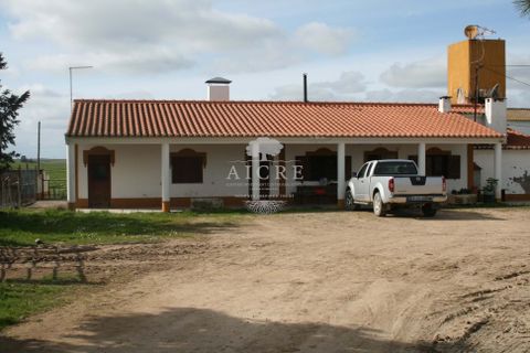 Gospodarstwo: Aljustrel, Beja, Aljustrel – 2 400 000 € | Ref: 1882022-EM – zdjęcie 5