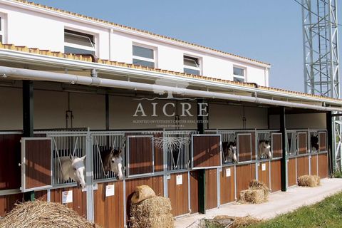 Gospodarstwo: Aljustrel, Beja, Aljustrel – 2 400 000 € | Ref: 1882022-EM – zdjęcie 1