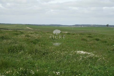 Gospodarstwo: Aljustrel, Beja, Aljustrel – 2 400 000 € | Ref: 1882022-EM – zdjęcie 9